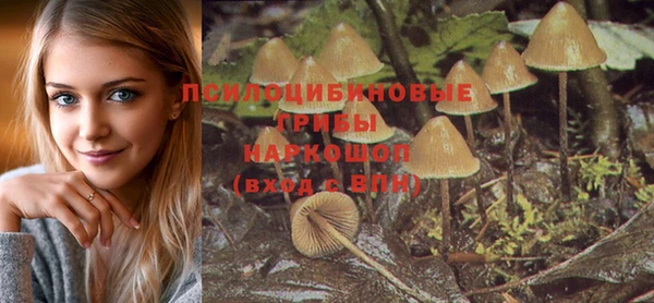 спиды Абинск